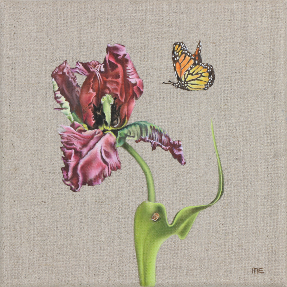 A petal drifted loose, oil on linen, Margaret Emsley
