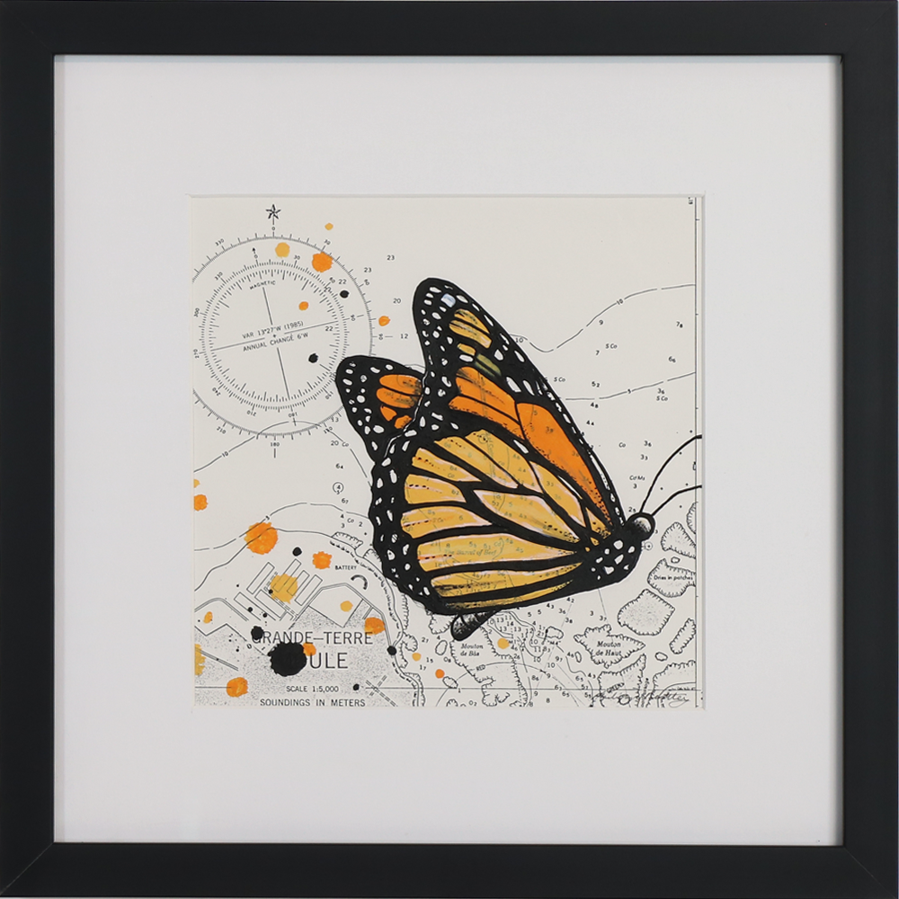 Monarch Butterfly on Seachart, acrylic on paper map, framed, philippa bentley