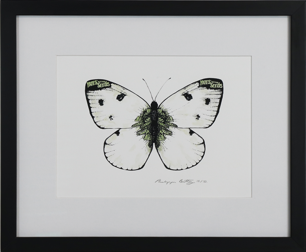 White Butterfly. Individually screen-printed and hand painted with ink and watercolour on archival paper, framed. White Butterfly 18/50 (Yates Gardening). Philippa Bentley)