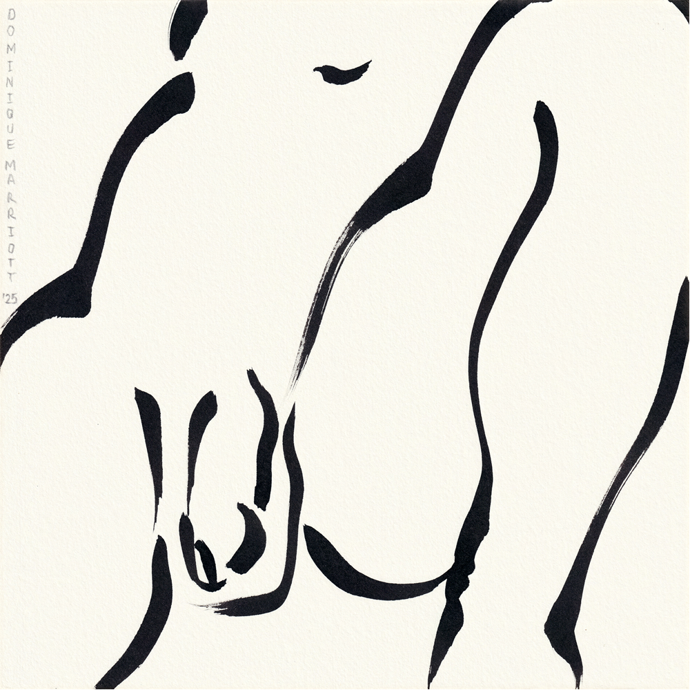 Future Memories Sumi Ink Make Nude Drawing Dominique Marriott