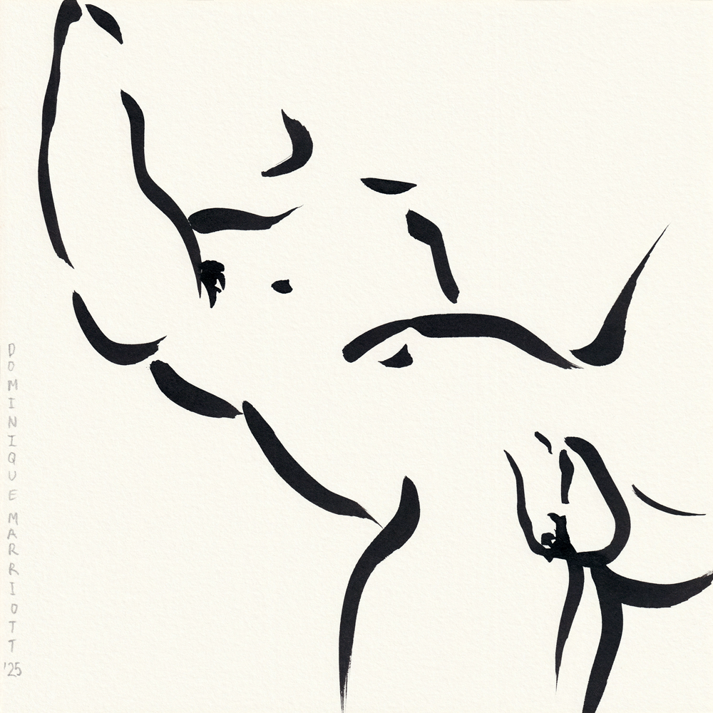 Letting Go Sumi Ink Male Nude Drawing Dominique Marriott