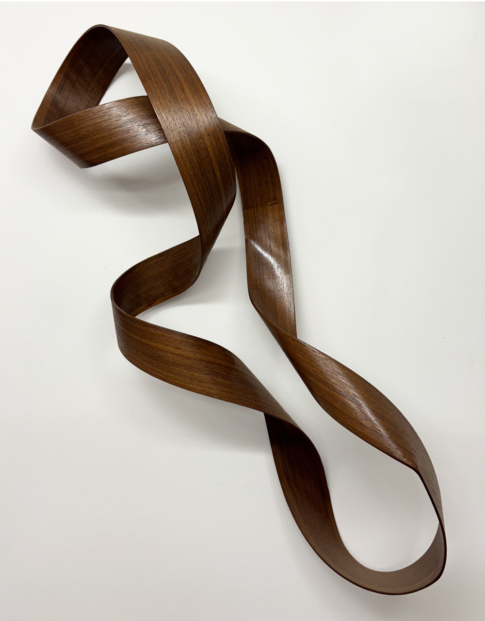 Infinity | Jamie Adamson  Steam Bent Timber | Wall Sculpture | Shift into Neutral Exhibition | Turua Gallery