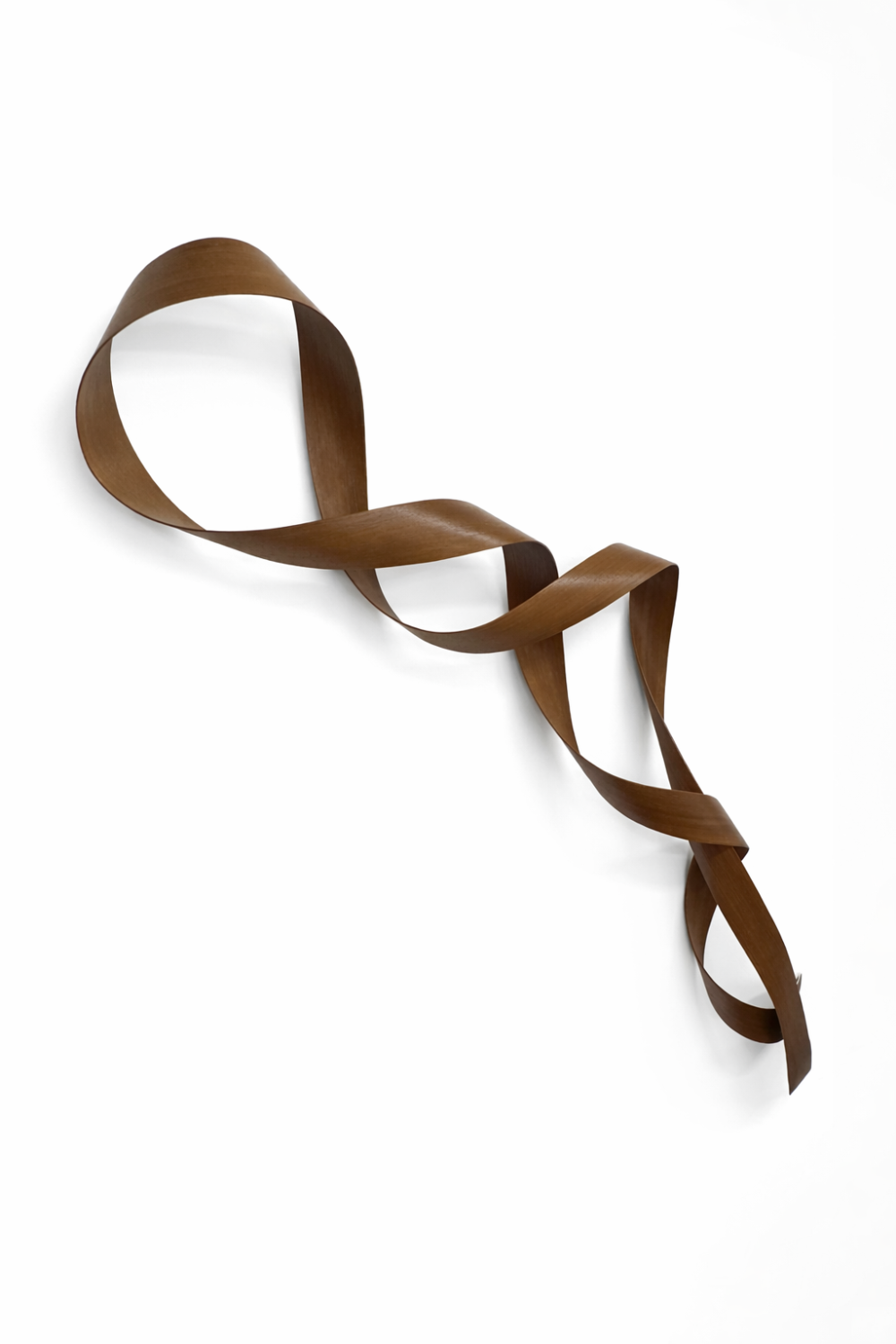 Walnut Surprise | Jamie Adamson | Steam Bent Walnut Timber | Sculpture | Original | Turua Gallery