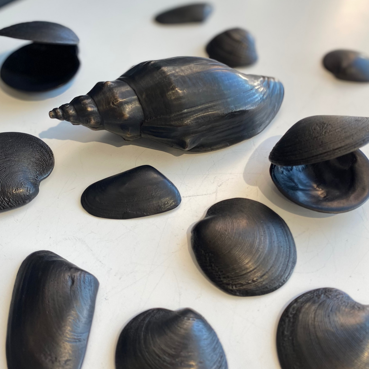 Trumpet Shell | Jay Lloyd | Hand Cast | Hand Finished Bronze | Turua Gallery