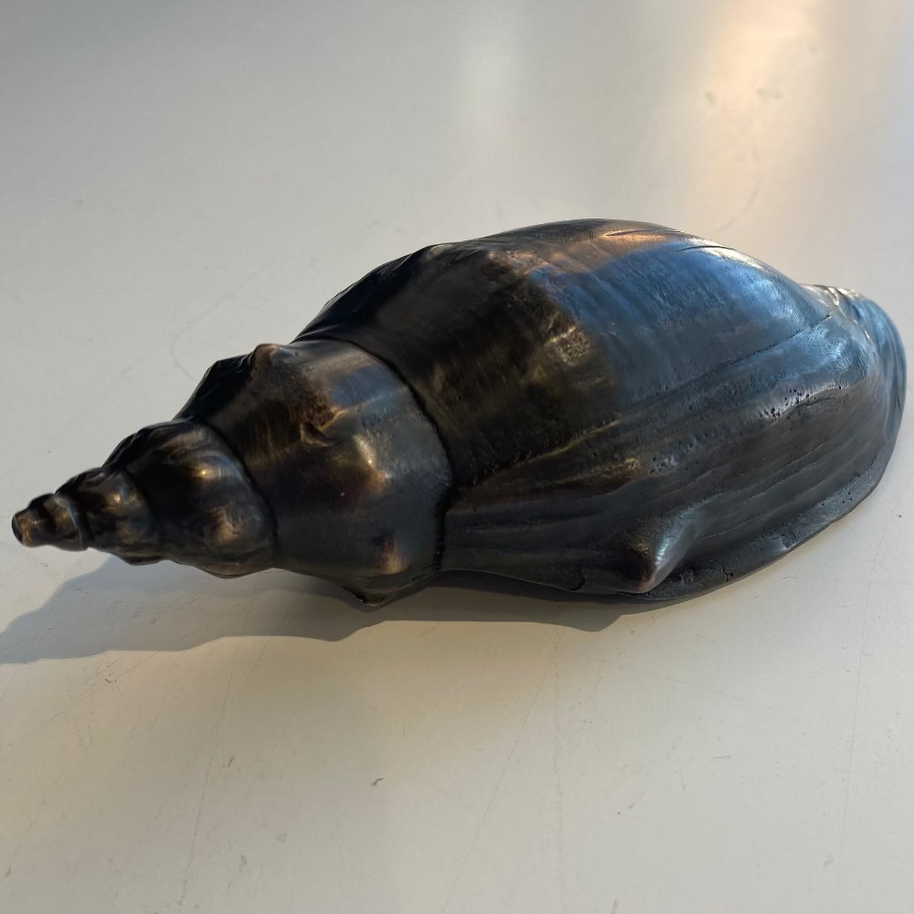 Trumpet Shell | Jay Lloyd | Hand Cast | Hand Finished Bronze | Turua Gallery