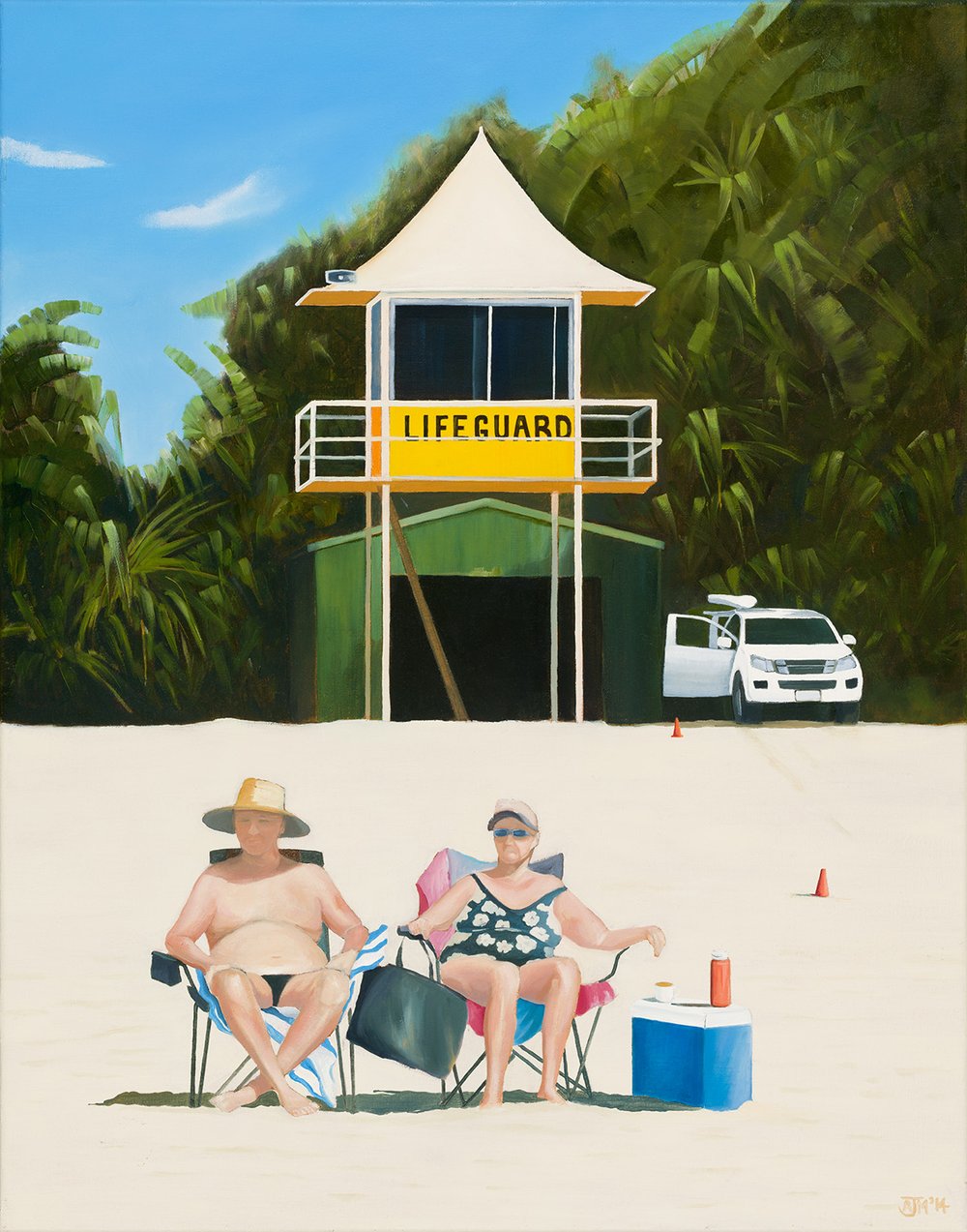 Lifeguard by Alan McLintic