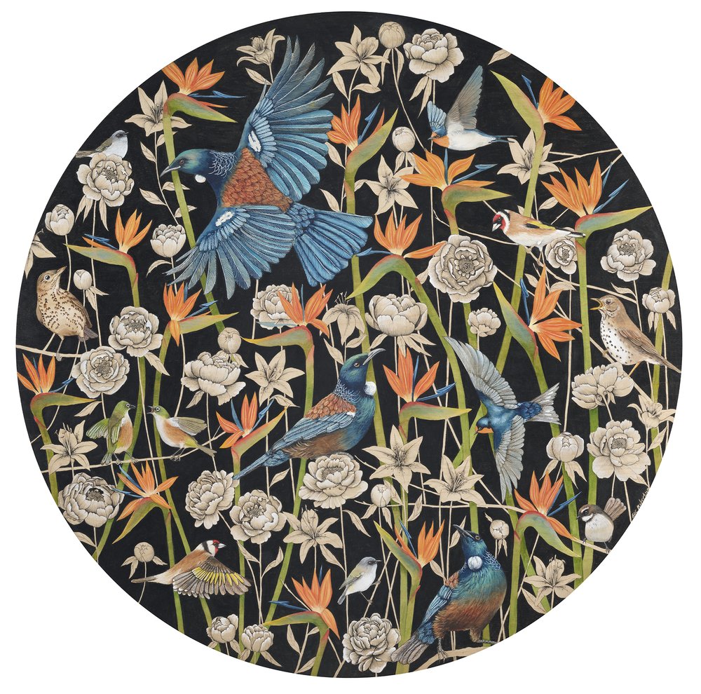 Allegra | Bec Robertson