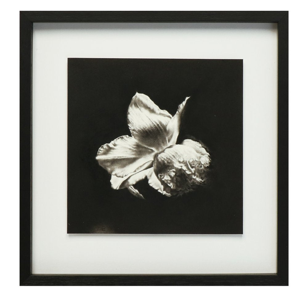 Angel | Margaret Emsley