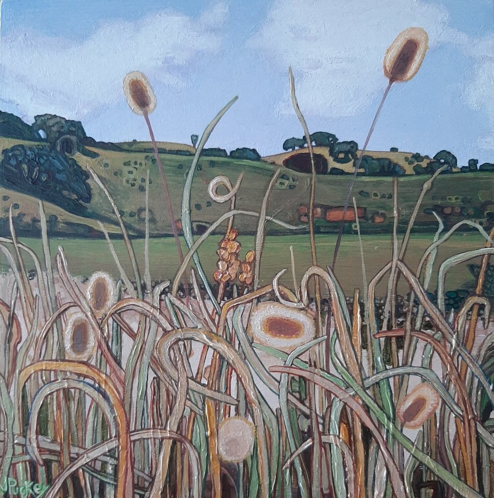 Bunny Tails 5 | Jane Puckey