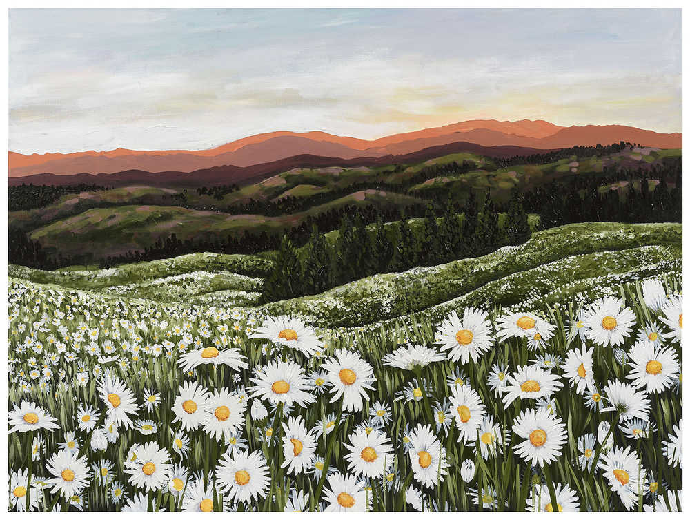 Daisies In The Mountains | Rachael Mayne