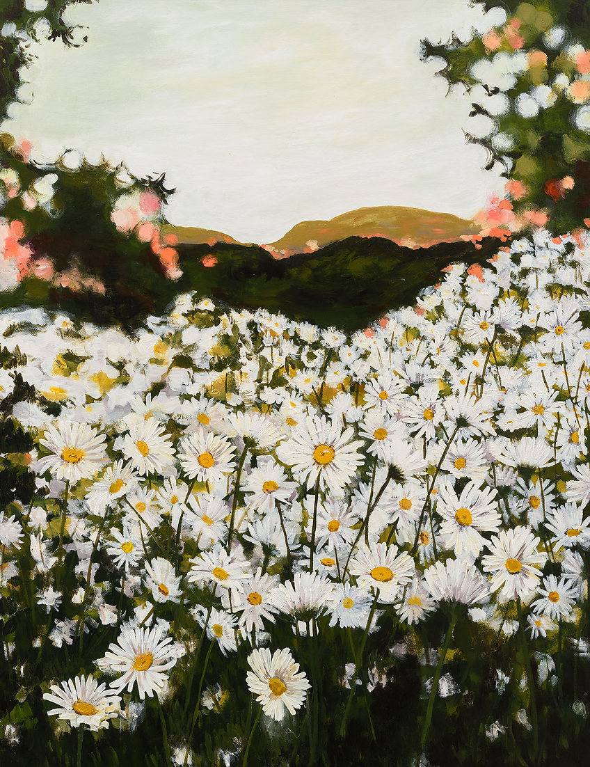 Daisies Next Door | Rachael Mayne