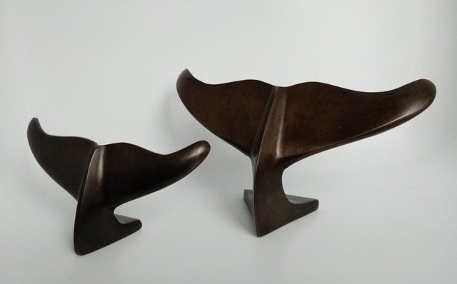 Desk Whale Tale | Jay Lloyd