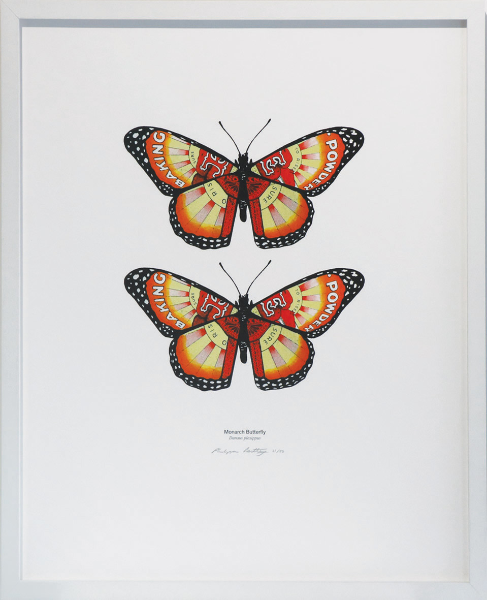 Double Monarch Butterfly Framed | Philippa Bentley
