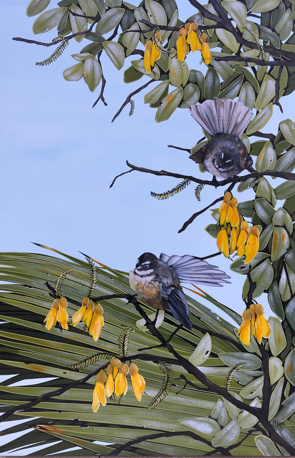 Fantails 2 | Kirsty Nixon