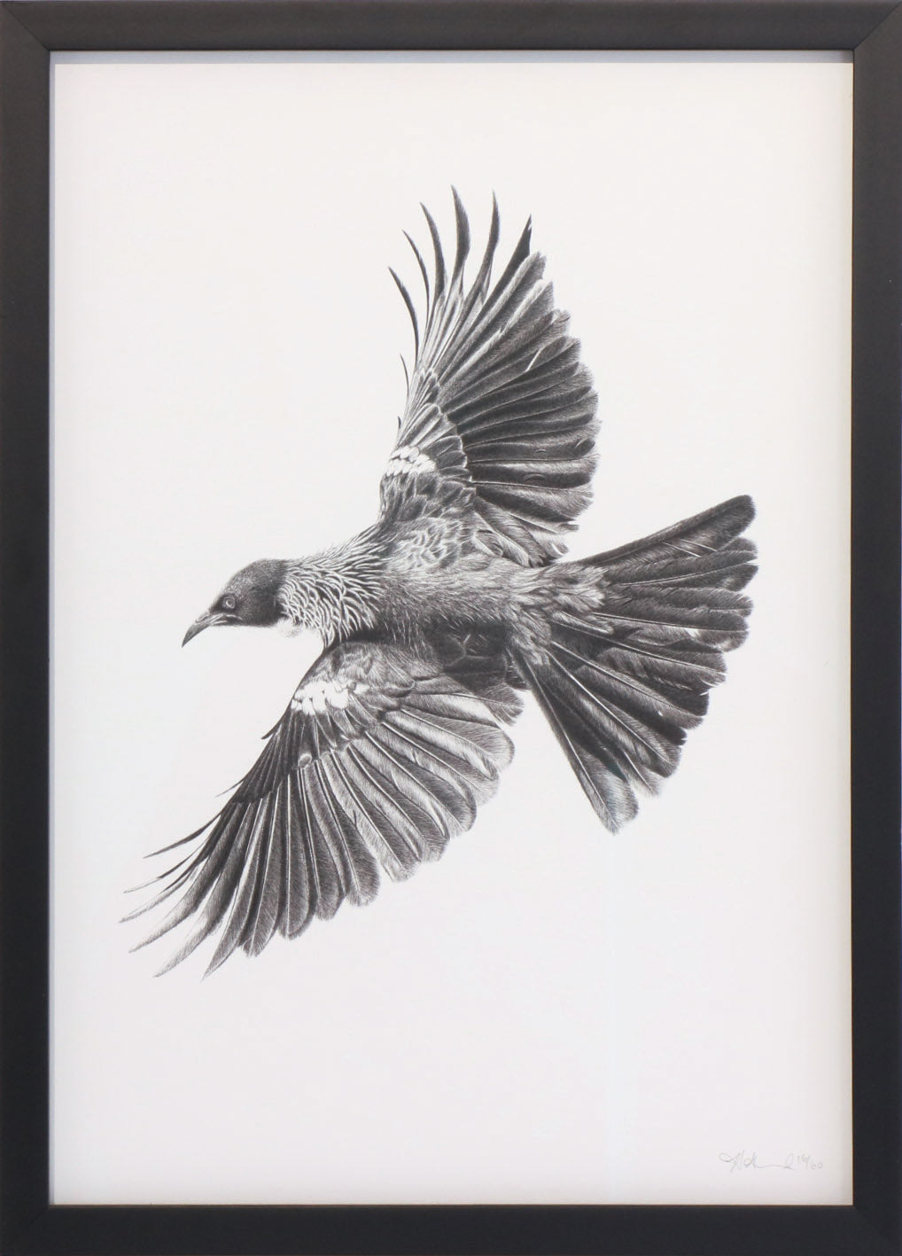 FlyingFreeFramed_HannahShand