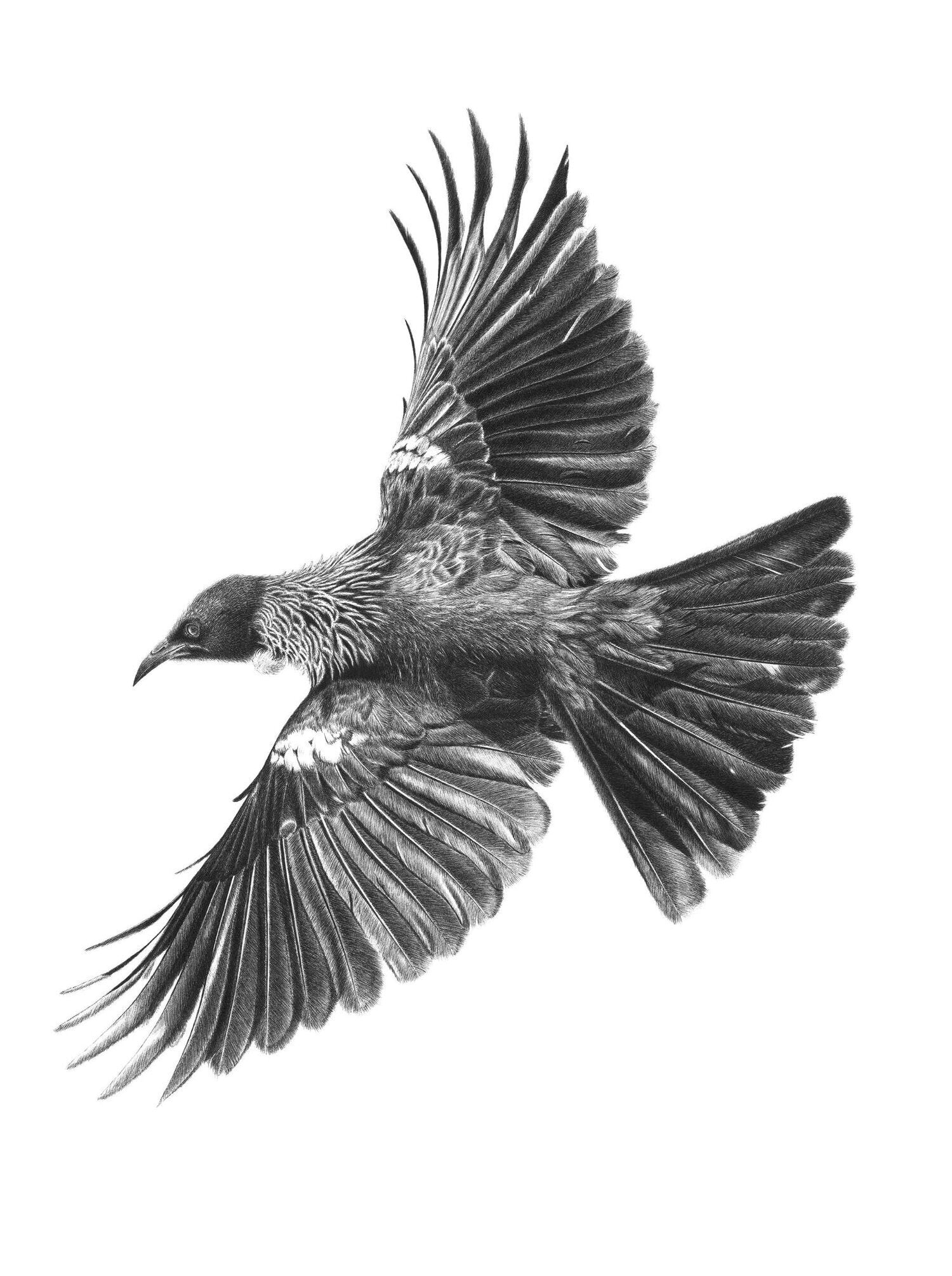 Flying Free | Hannah Shand