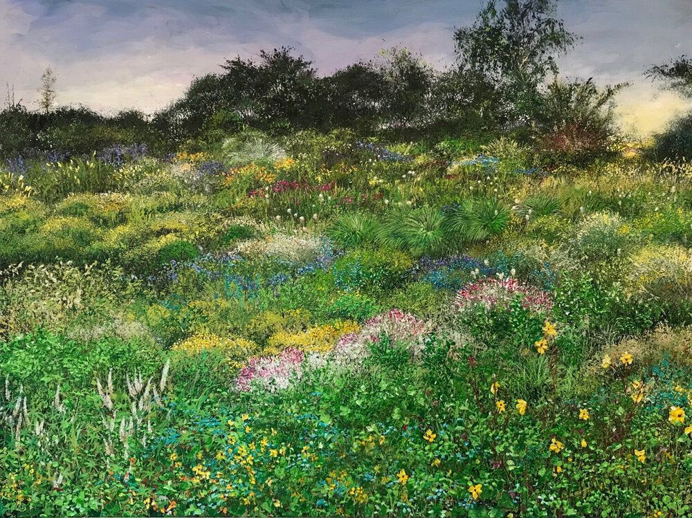 Imagine II | Robert Scriven