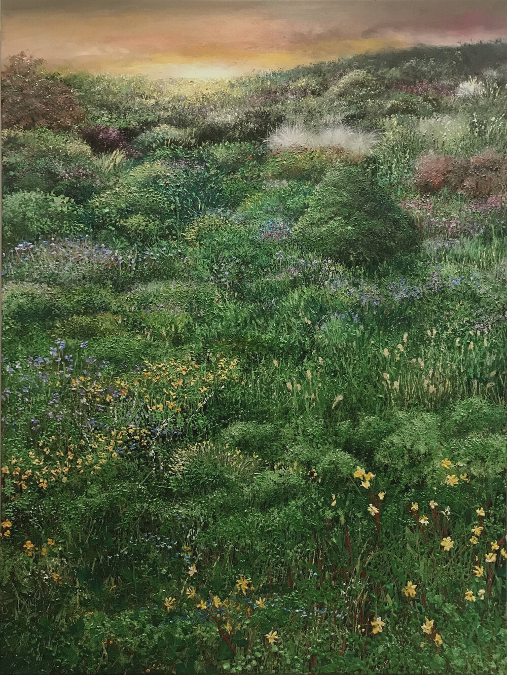 Imagine I | Robert Scriven