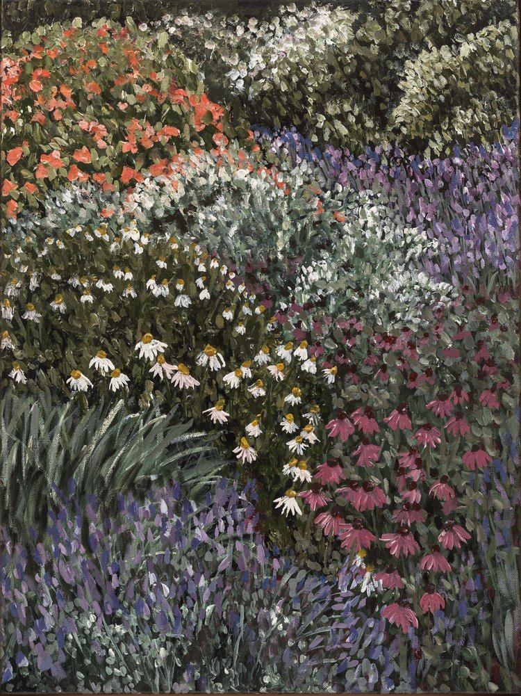 In Colour | Rachael Mayne