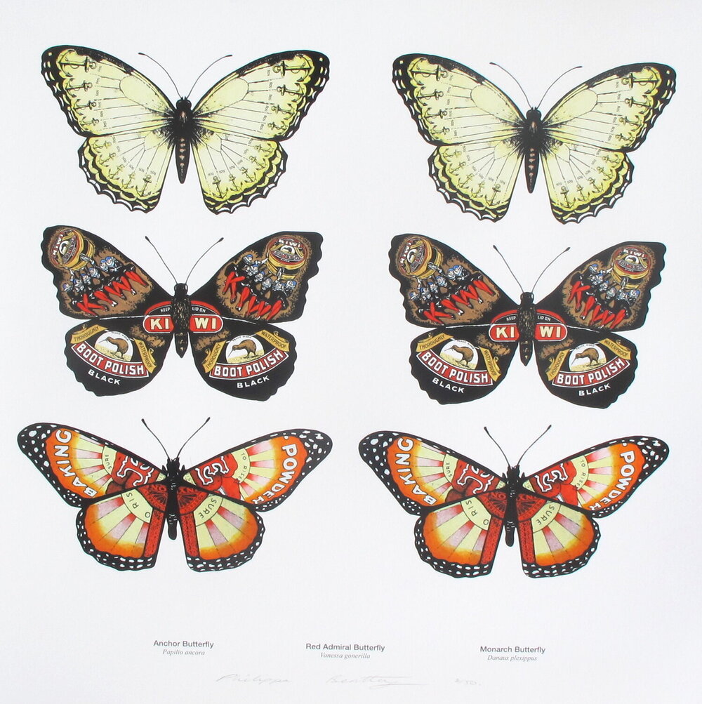 Lepidoptera | Philippa Bentley