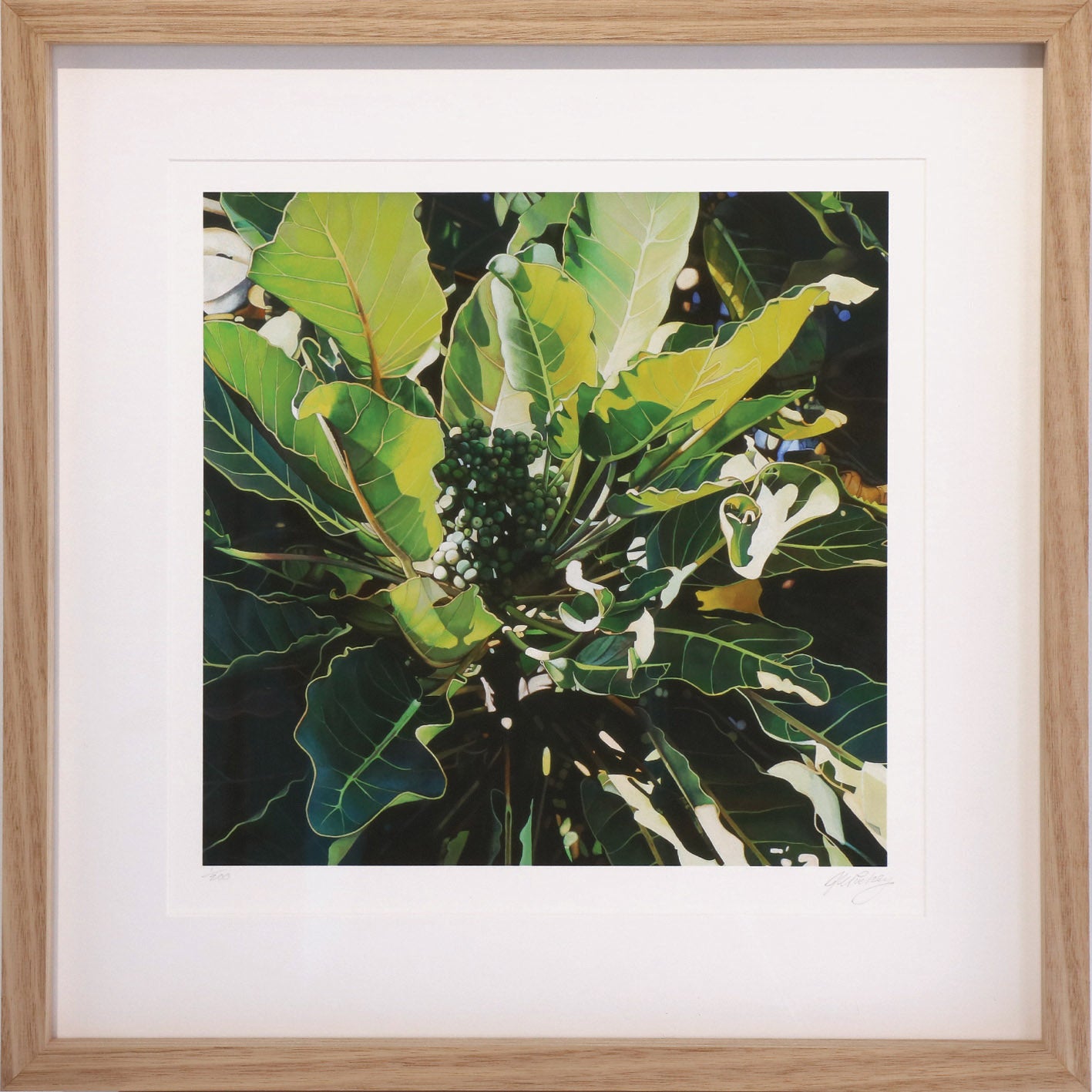 Light Catches Leaves | Jane Puckey