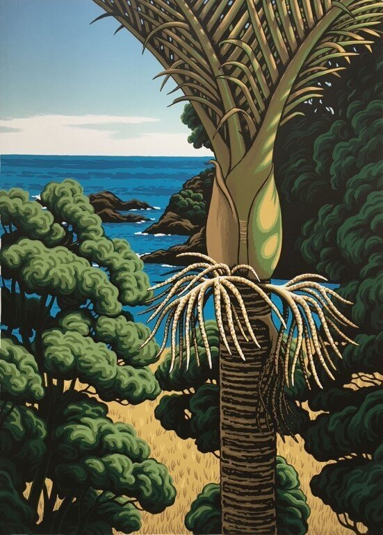 Lottin Point Nikau | Tony Ogle
