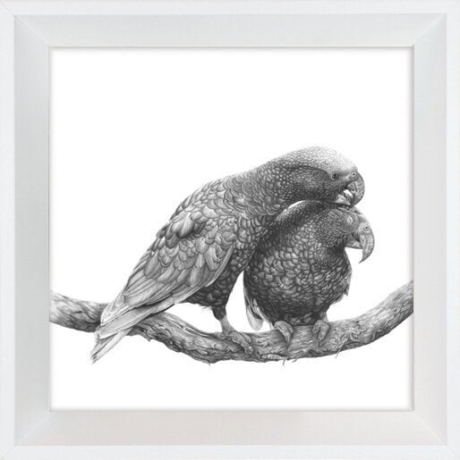 Manaaki Kaka | Hannah Shand