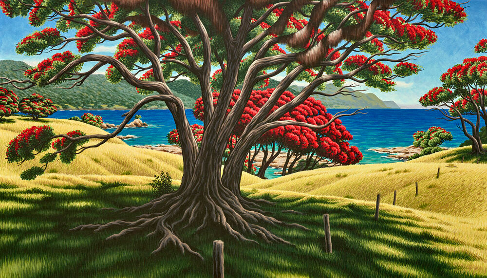 Old Man Pohutukawa | Tony Ogle