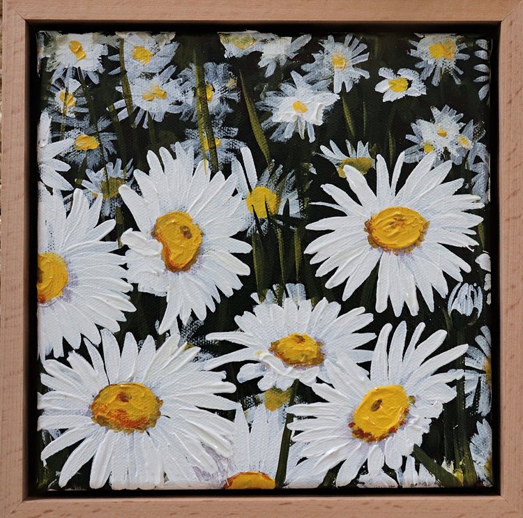 Petite Daisies 2 | Rachael Mayne