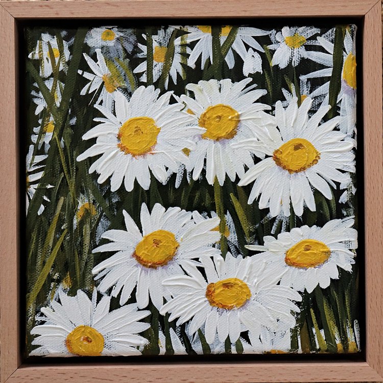 Petite Daisies 3 | Rachael Mayne