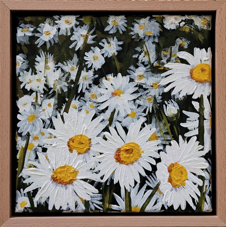 Petite Daisies 1 | Rachael Mayne