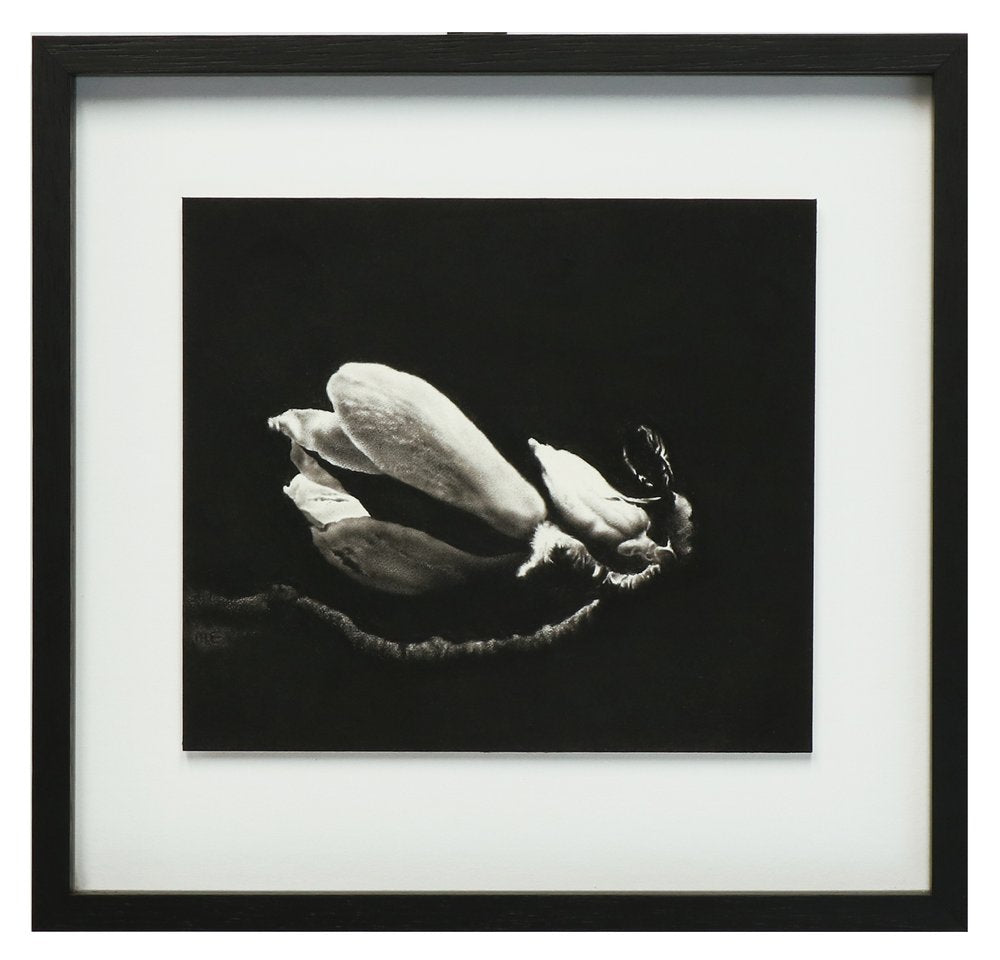 Safe Harbour | Margaret Emsley