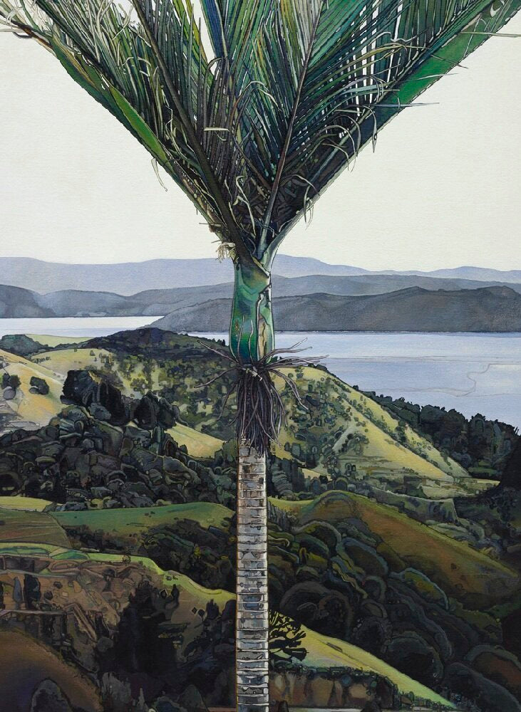 Solace | Jane Puckey