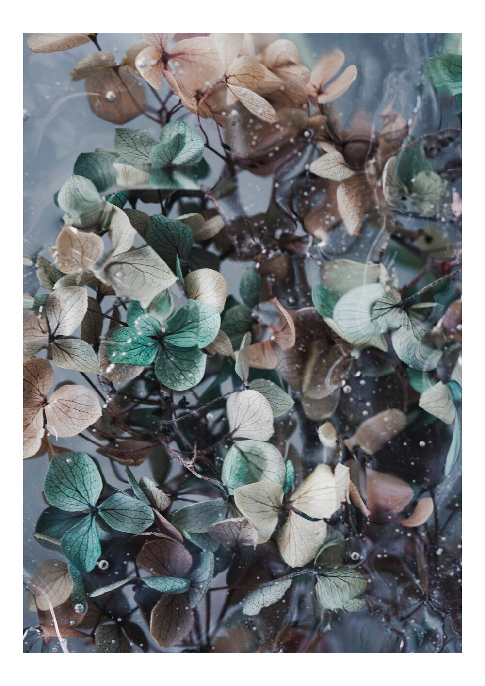 Submerged | Helen Bankers