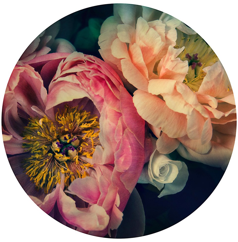 The Masters Peonies  Floral Print Rounds | Helen Bankers