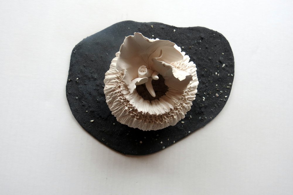 Wave Washed | Robin Ranga