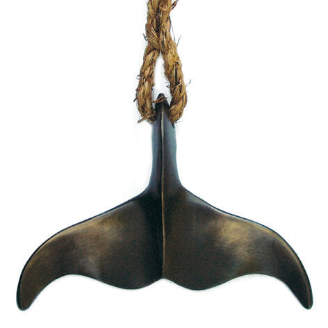 Whales Tail | Jay Lloyd