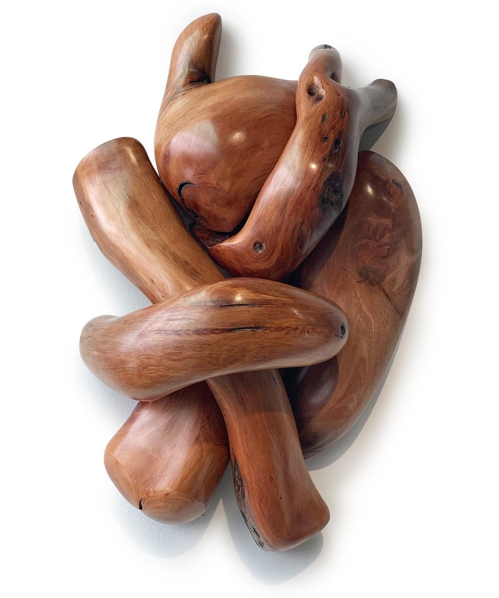 Y - Knot | John Allen